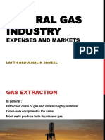 Natural Gas Industry Expenses and Markets