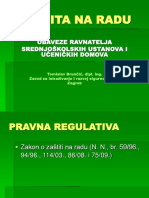 Bruncic_Zastita.ppt