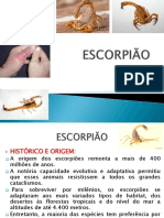 Escorpião - Slide Rafa Cipriano