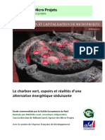 Le Charbon Vert Espoirs Et Réalités Dune Alternative Énergétique Séduisante1 PDF