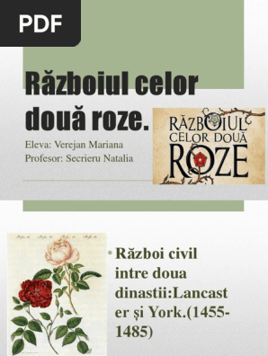 RÄƒzboiul Celor DouÄƒ Roze