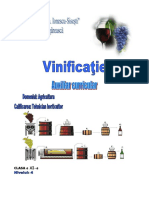Vinificatie Auxiliar PDF