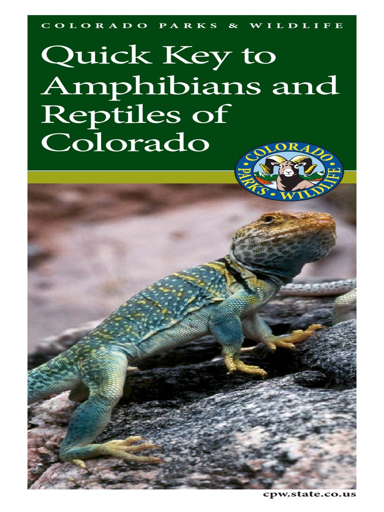 Quick Key To Amphibians and Reptiles of Colorado PDF Frog Amphibian