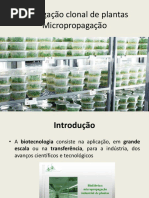 Aula 6 Micropropagação