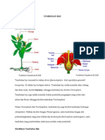 Download TUMBUHAN BIJI by AHAD UCHDOR SN37931020 doc pdf