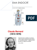 Sistema Endocrino Clase 1