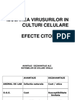 2 Culturi de celule.pdf