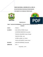 INFORME Nº 1.1