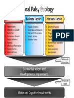 Cerebral Palsy Etiology