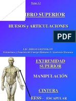 4.1 Miembro Superior Huesos y Articulaciones