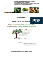 Seminário - Raiz Caule e Folha (Prof)