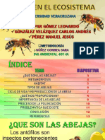 Abejas en El Ecosistema 401-Ia