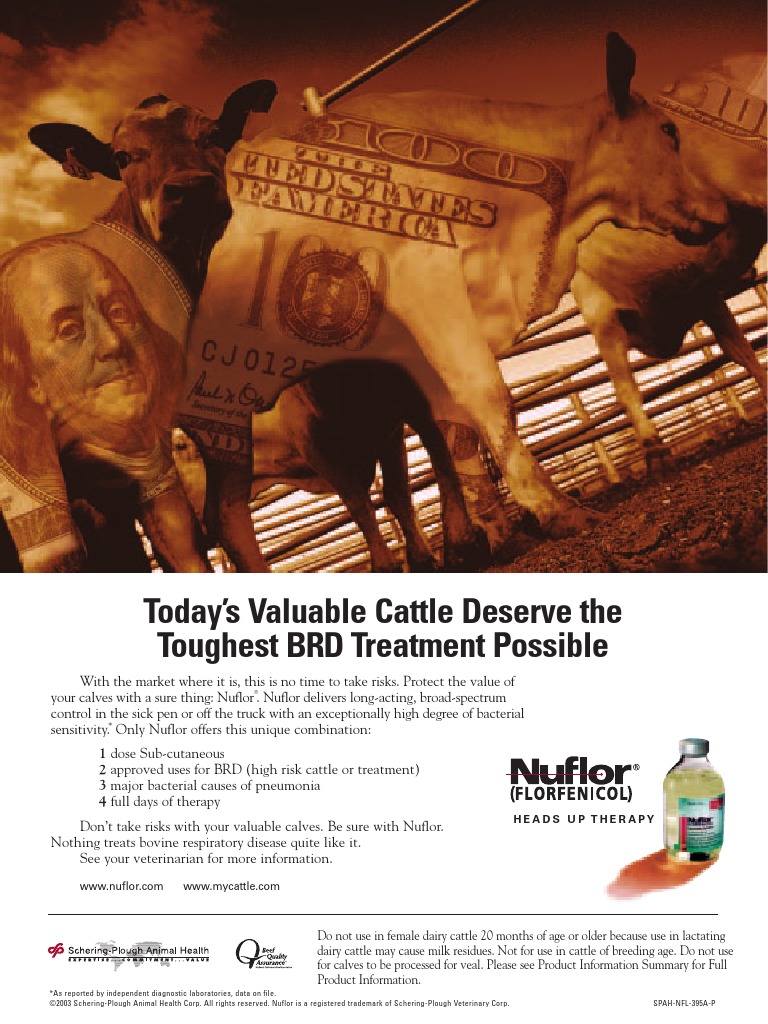 Valuable Cattle Injection (Medicine) Cattle
