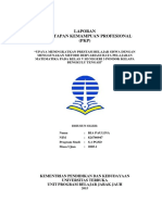 Laporan Pemantapan Kemampuan Profesional (PKP) Ria Paulina