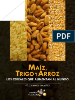 cereales mas importantes.pdf