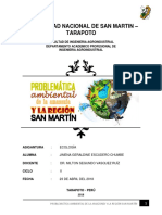 Problemática Ambiental de La Amazonía y de La Región San Martín