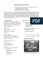 Informe Perdida de Carga