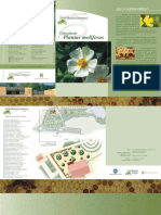 Plantasmeliferas33.pdf