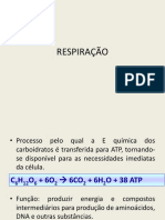 Processos energéticos nas células vegetais