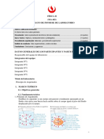 3 Formato Del Laboratorio 1 de Física II