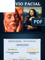 Nervio Facial