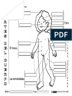 Partes-del-cuerpo-actividades.pdf