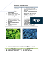 Cuadro de Diferencias entre reinos