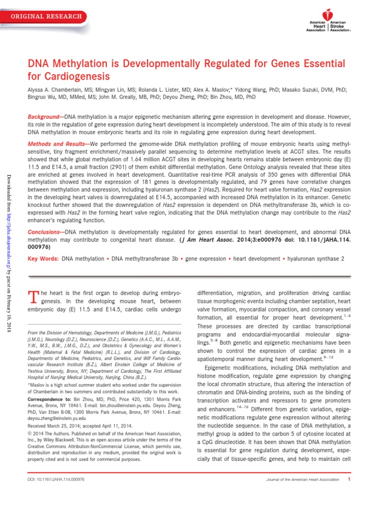 DNA Methylation in Heart Development | PDF | Dna Methylation | Promoter ...