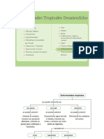 TAREA 7 ENFERMEDADES DESATENDIDAS.pdf