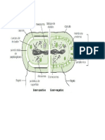 TAREA 8 BACTERIAS ESTRUCTURAS.pdf