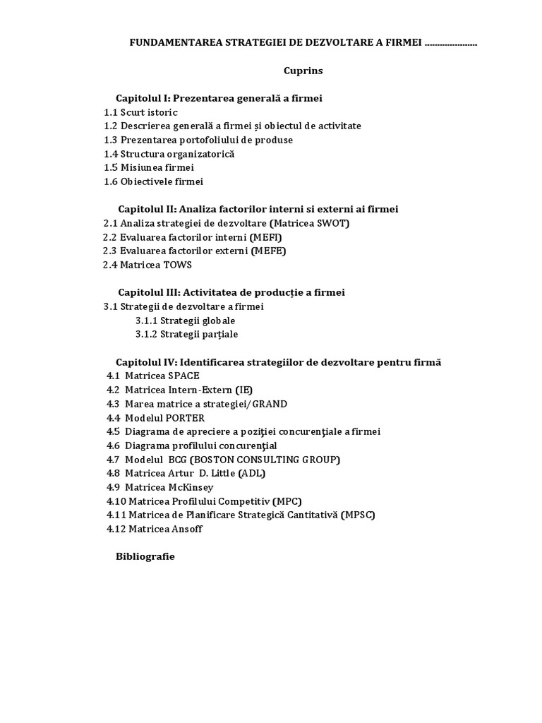 Model Management Strategic | PDF | Companies | Service Companies