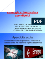 Curs Apendicita Acuta - Dr. Badiu