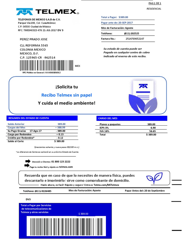 TELMEX | PDF | Business