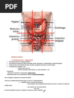 274889340-Anatomie-sesiune.doc