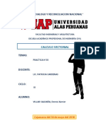 "Año Del Dialogo Y Reconciliacion Nacional": Calculo Vectorial