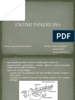 Enzimi Pankreasa