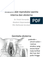 Anatomi Alat Reproduksi Wanita Interna Dan Eksterna