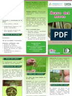 Brochure Acaro Spinki 2011.pdf