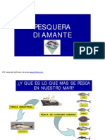 PROCESO_DE_PESCA_Y_HARINA_DE_PESCADO