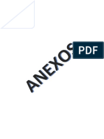 ANEXOS-.docx