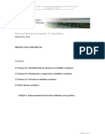 Práctica #8 - Cerámicos PDF