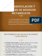 Osmorregulacion y Desechos de Residuos Metabolicos