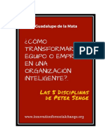 Guadalupe-de-la-Mata-Organizaciones-y-equipos-inteligentes-.pdf