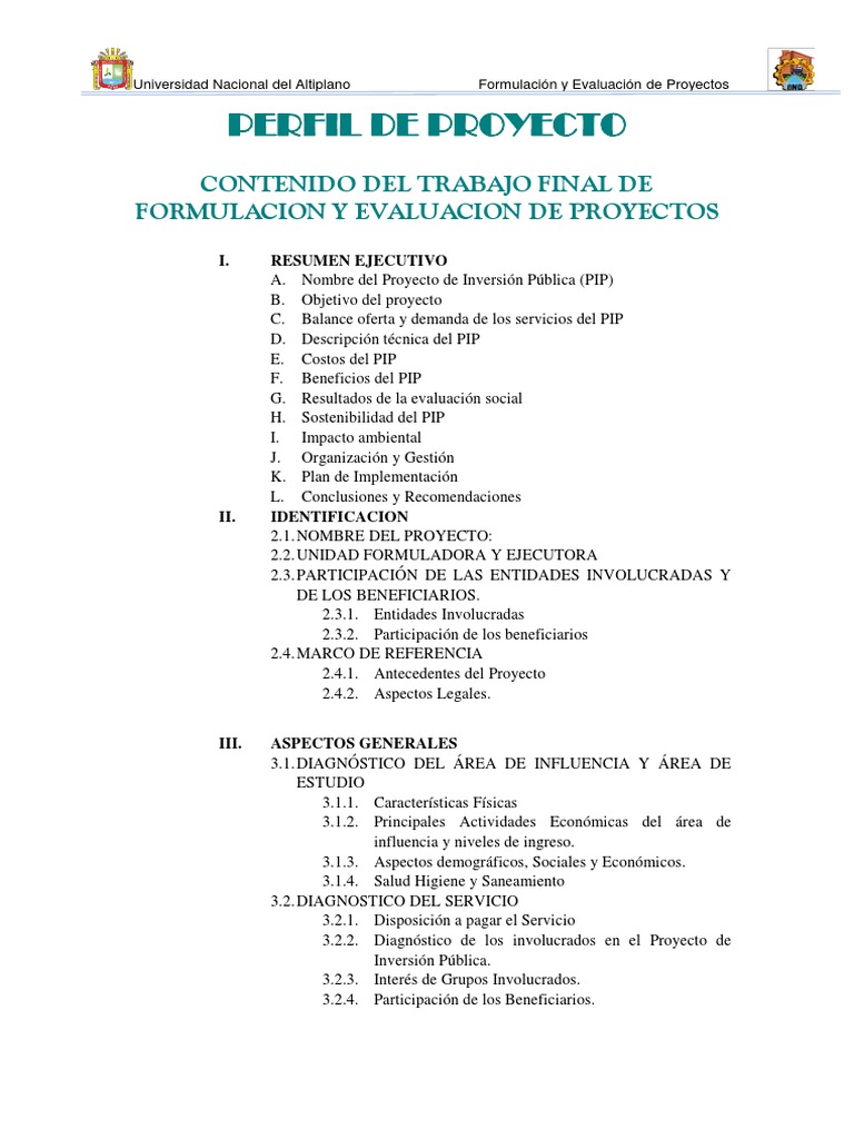 Estructura de un Perfil de Proyecto | PDF | Economias | Agua