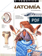 Atlas Temático de Anatomía Animal-FREELIBROS.org