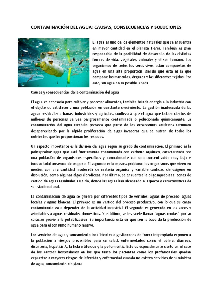 Contaminación del Agua: Causas y Soluciones | PDF | La contaminación ...