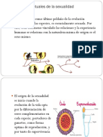 Grupo 6 Final Bases Conceptuales de La Sexualidad