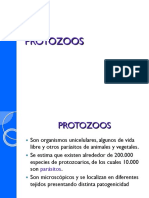 Diapositivas Protozoos ..Manay (1)