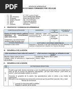 Sesión de Aprendizaje c y t