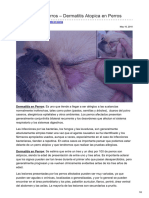 Dermatitis en Perros Dermatitis Atopica en Perros